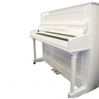 Samick JS118RID/WHHP - ïèàíèíî,118x149x59, 214êã, ñòðóíû "Roslau"(íåì.), áåëûé ïîëèð.,