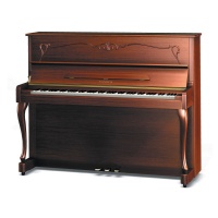 Samick JS600NAD WAST - ïèàíèíî, 121õ150õ61, 213 êã., öâåò-îðåõ, ìàòîâûé