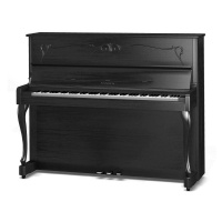 Samick JS600NAD EBST - ïèàíèíî, 121õ150õ61, 213 êã., öâåò-÷åðíûé, ìàòîâûé