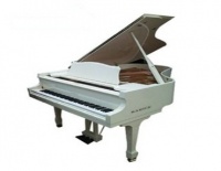 Samick NSG175/WHHP - ðîÿëü â êîìïëåêòå ñî ñòóëîì BN-42, 103x148x175, 318êã, öâåò áåëûé ïîëèð.