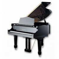 Samick SIG50D/EBHP - ðîÿëü, 103x148x150, 297êã, ñòðóíû "Roslau"(íåì.), ïîëèð., ÷åðíûé